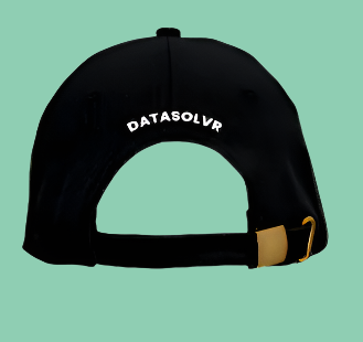 Datasolvr cap back